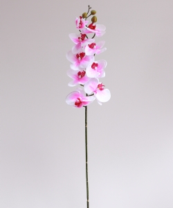 SINGLE BRANCH ORCHID 85 CM