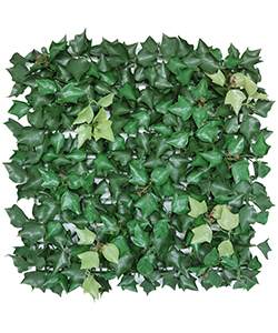 WALL Ivy VERTICAL GARDEN 100X100CM