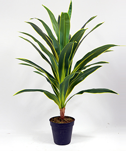 ARTIFICIAL YUCCA 100CM